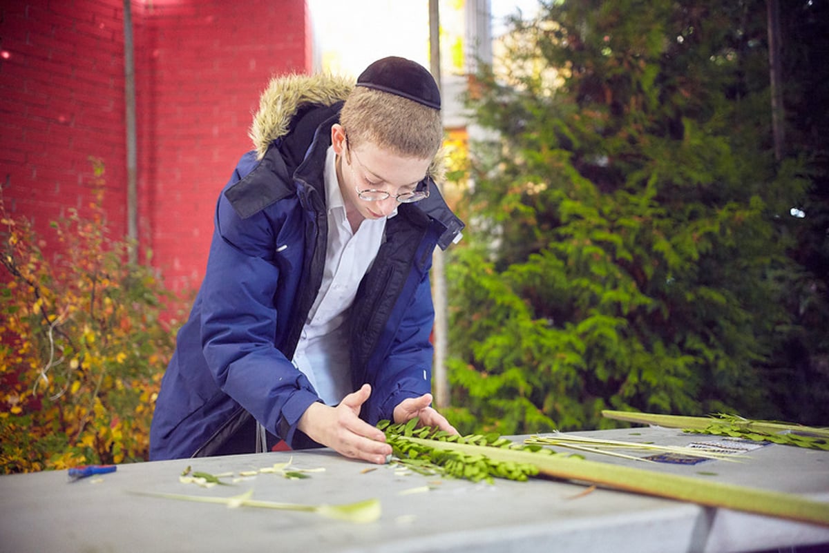 הימים הראשונים של חג הסוכות בבירת רוסיה