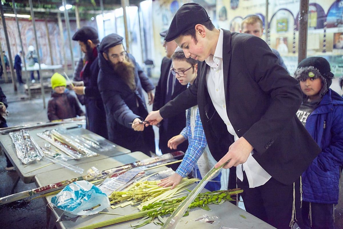 הימים הראשונים של חג הסוכות בבירת רוסיה