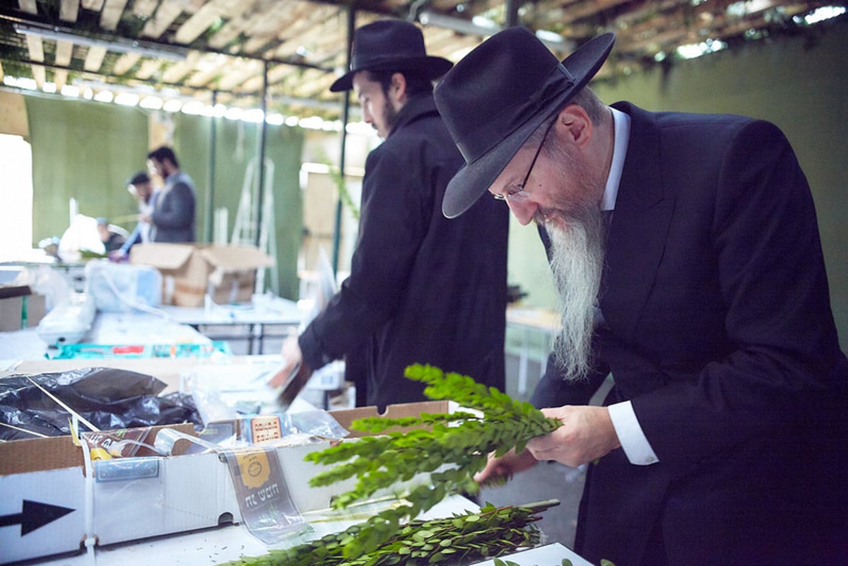 הימים הראשונים של חג הסוכות בבירת רוסיה