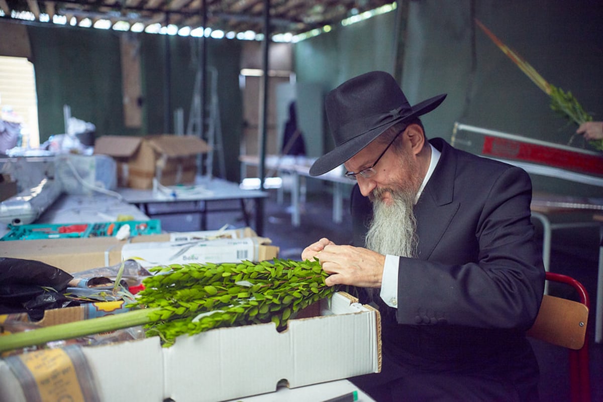 הימים הראשונים של חג הסוכות בבירת רוסיה