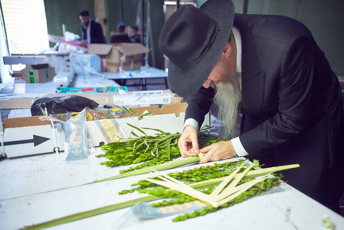 הימים הראשונים של חג הסוכות בבירת רוסיה