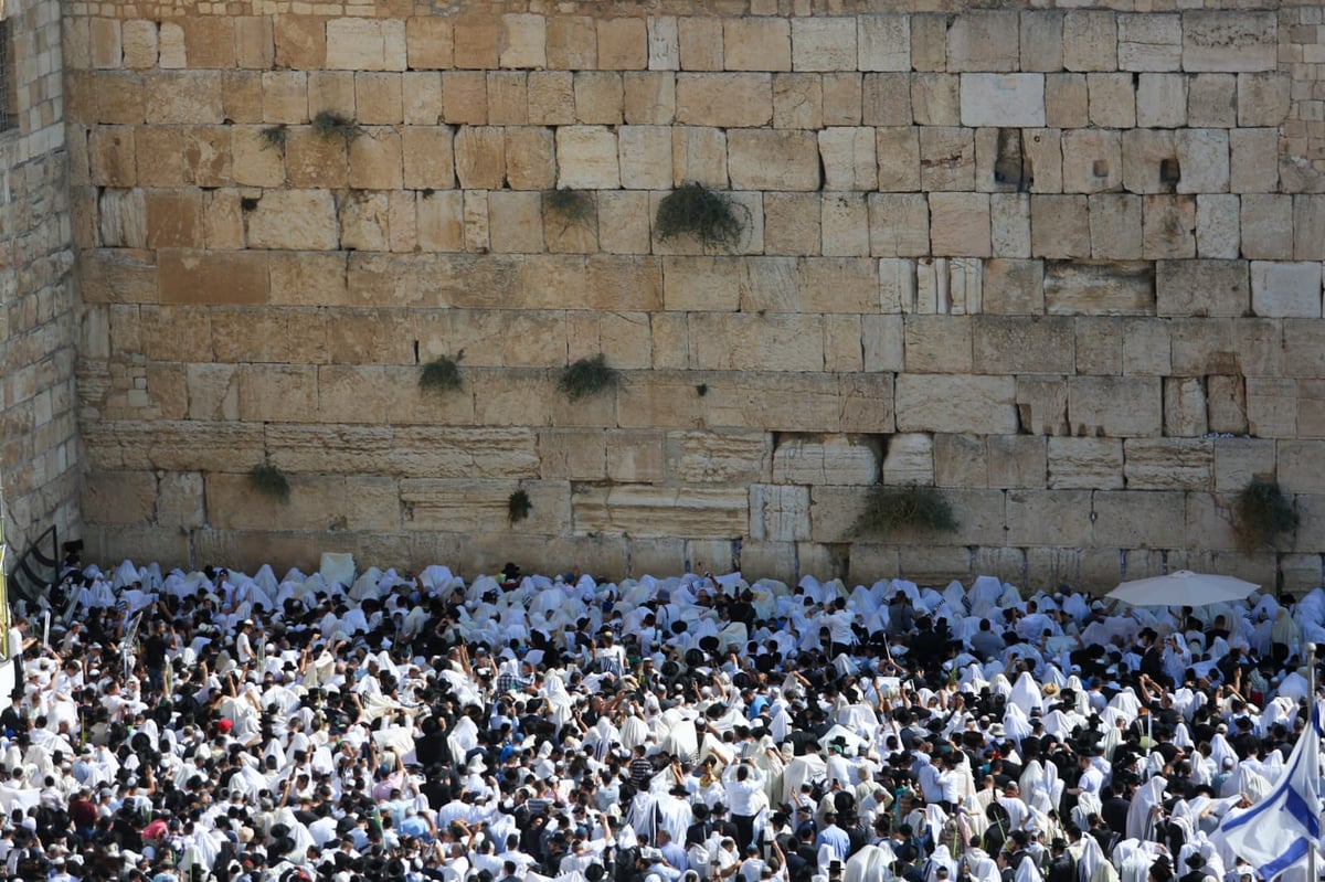 מעמד ברכת כהנים בכותל המערבי • תיעוד