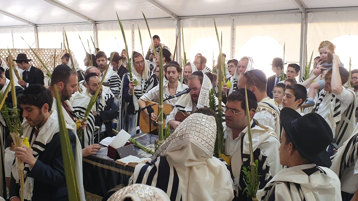 תפילת חול המועד בנוסח קרליבך • תיעוד סוחף