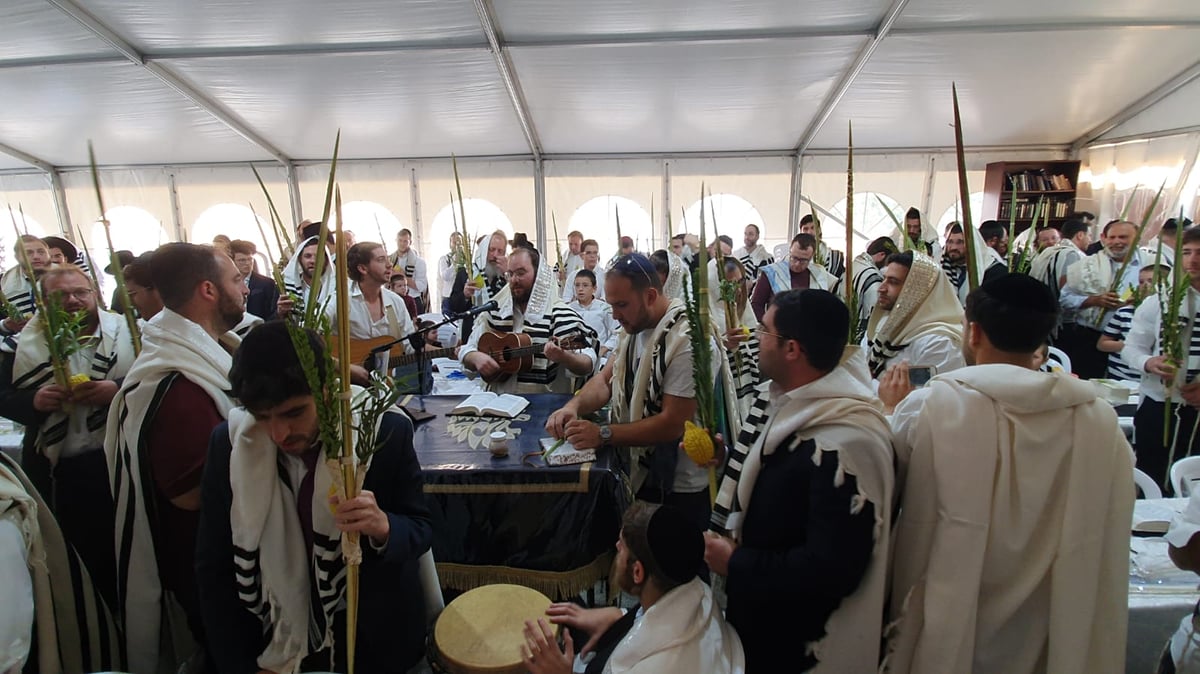 תפילת חול המועד בנוסח קרליבך • תיעוד סוחף