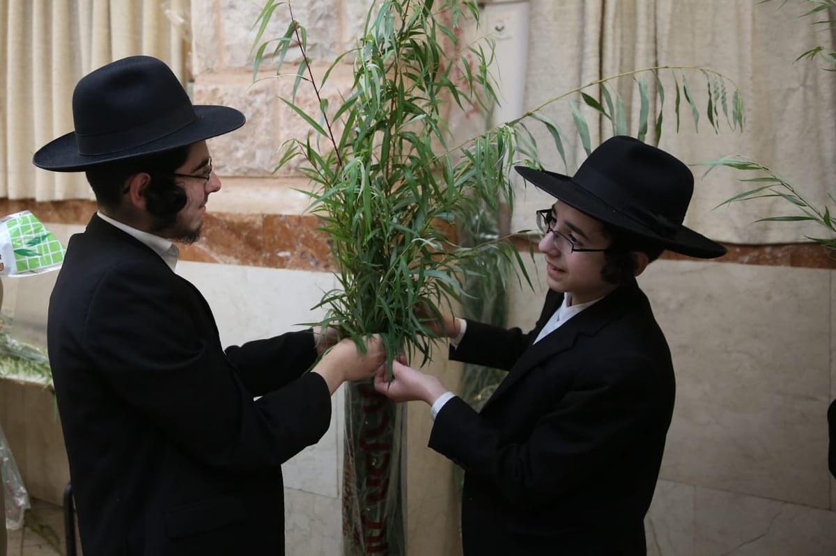 עם קיטל: הירושלמים קנו מורביות להושענות