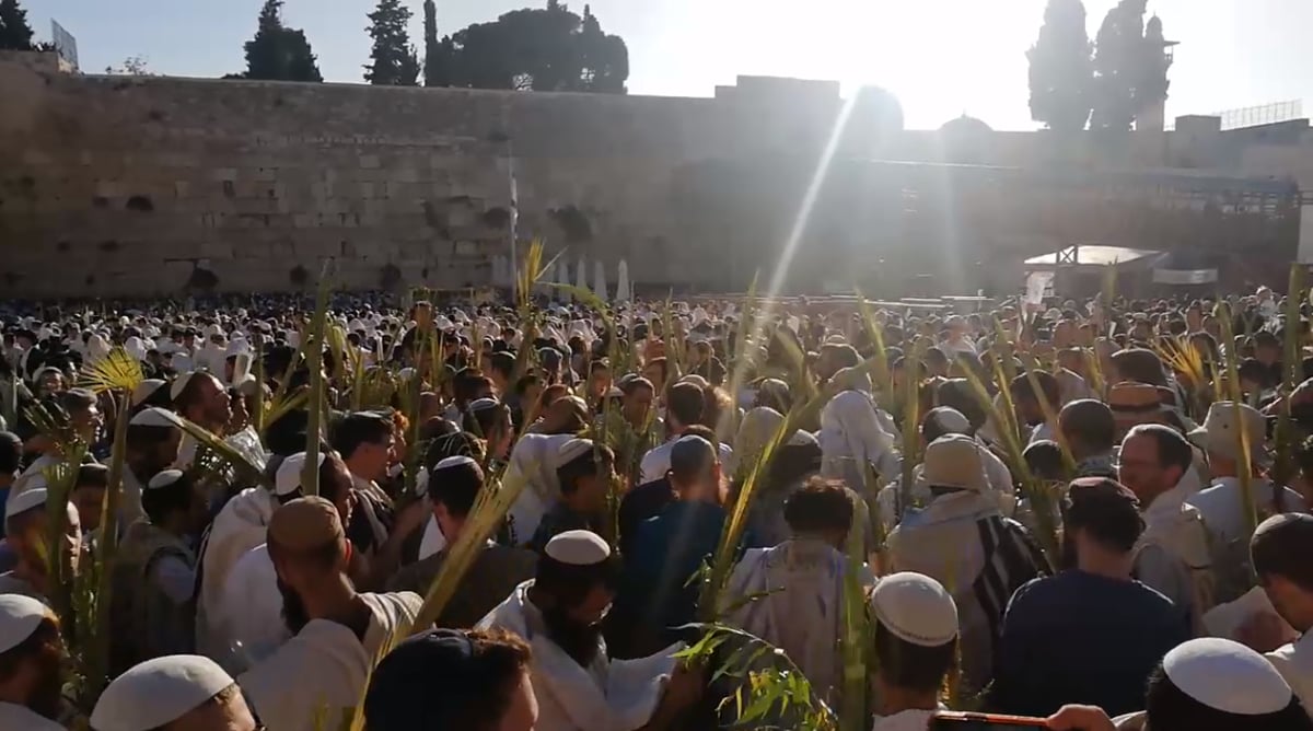 זריחה הבוקר בכותל המערבי