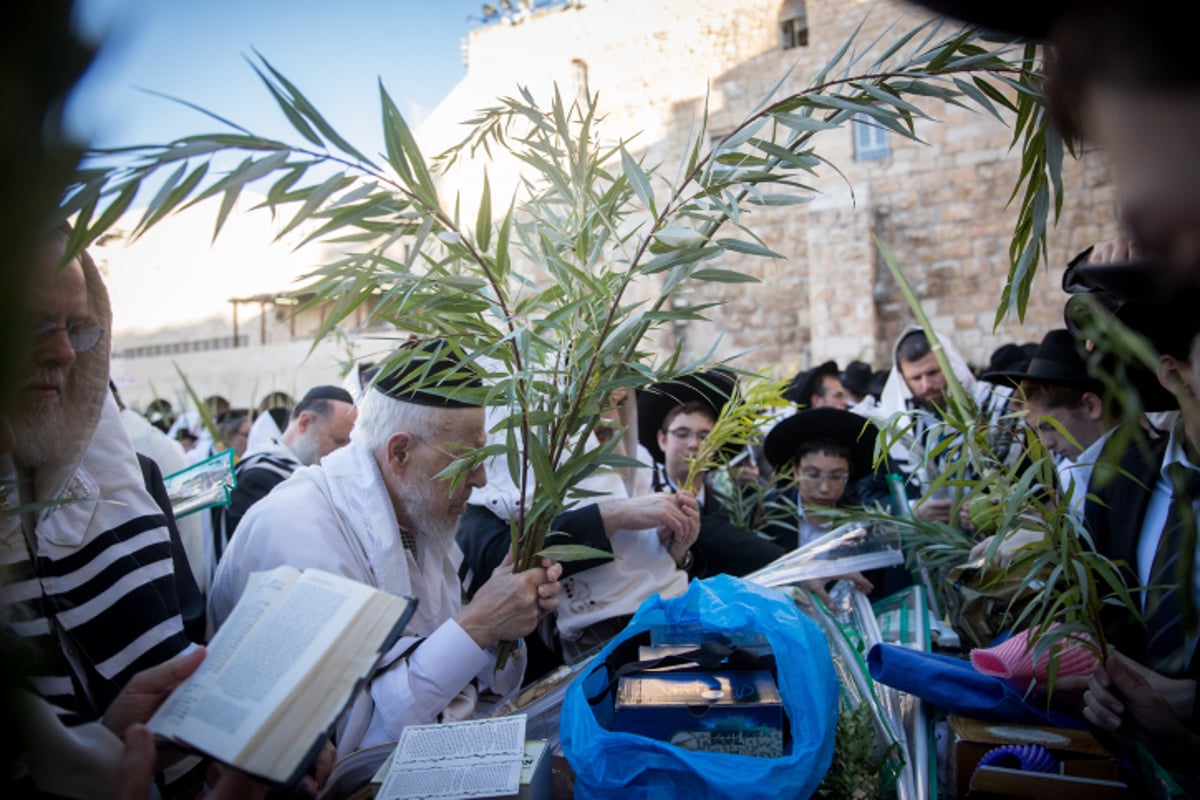 סגולה לשמירה ולזכות בדין ל'הושענא רבה'