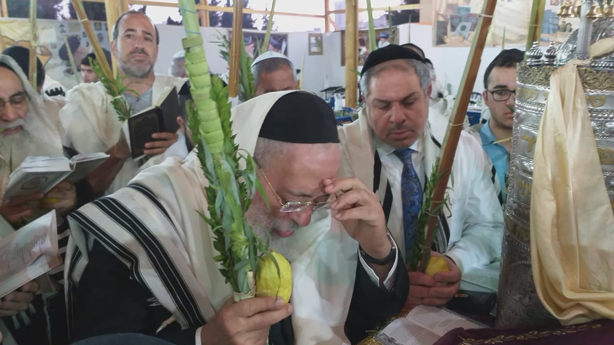 ההקפות והחבטות של הראשל"צ הגר"ש עמאר