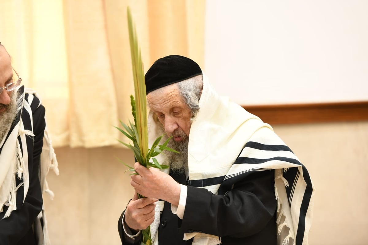 הושענא רבה בהיכל ישיבת סלבודקא • תיעוד