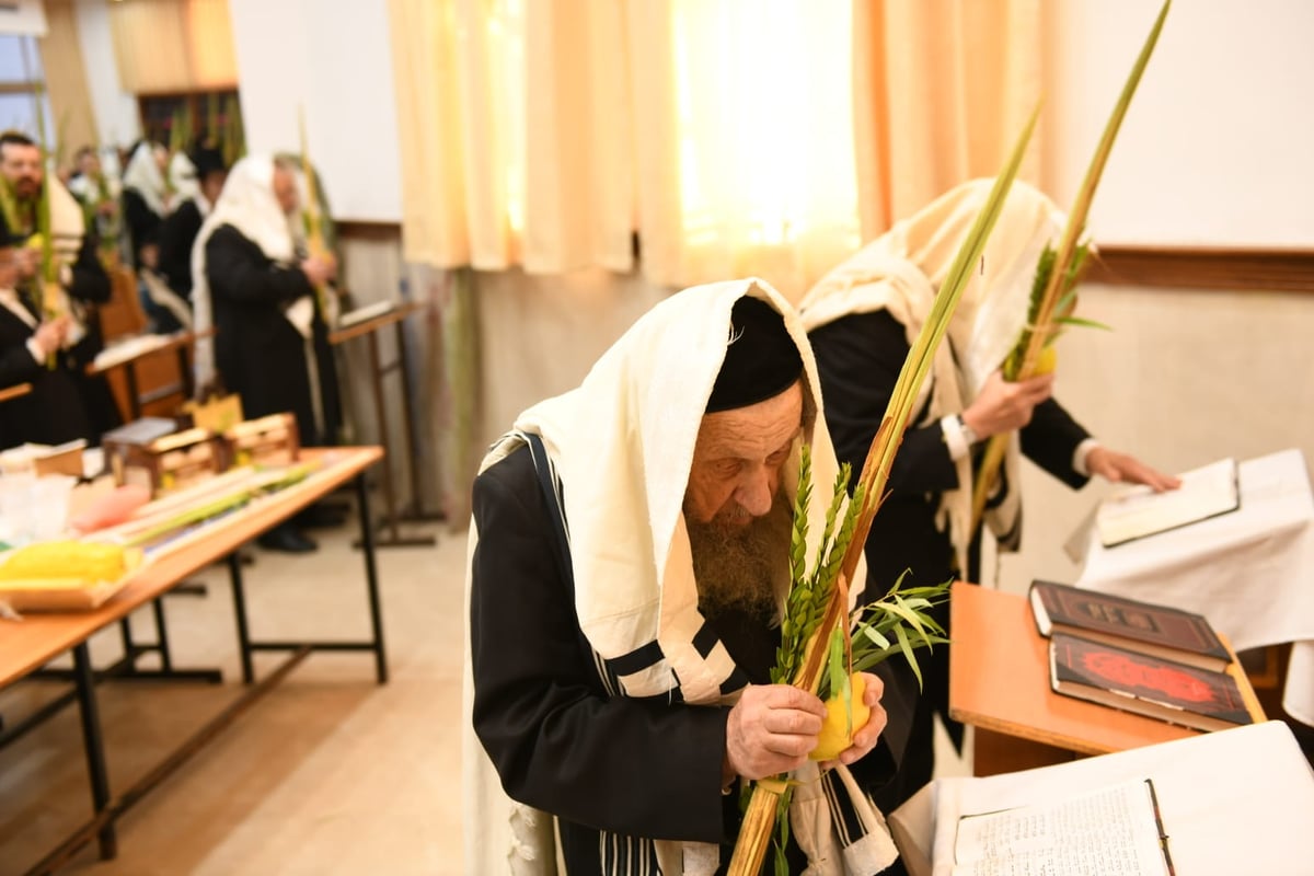 הושענא רבה בהיכל ישיבת סלבודקא • תיעוד