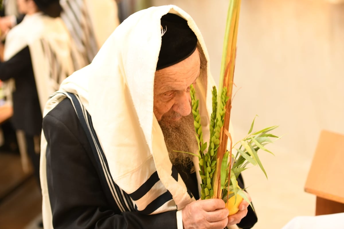 הושענא רבה בהיכל ישיבת סלבודקא • תיעוד