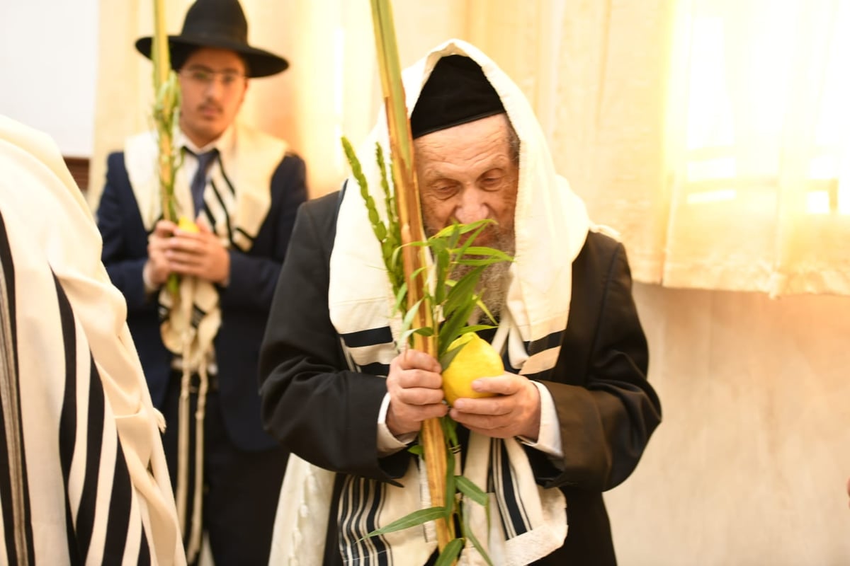 הושענא רבה בהיכל ישיבת סלבודקא • תיעוד