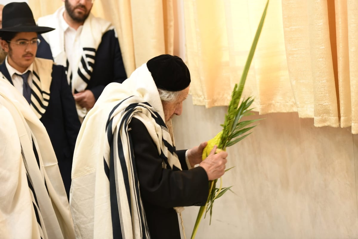 הושענא רבה בהיכל ישיבת סלבודקא • תיעוד