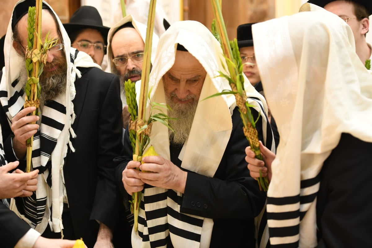 הושענא רבה בהיכל ישיבת סלבודקא • תיעוד