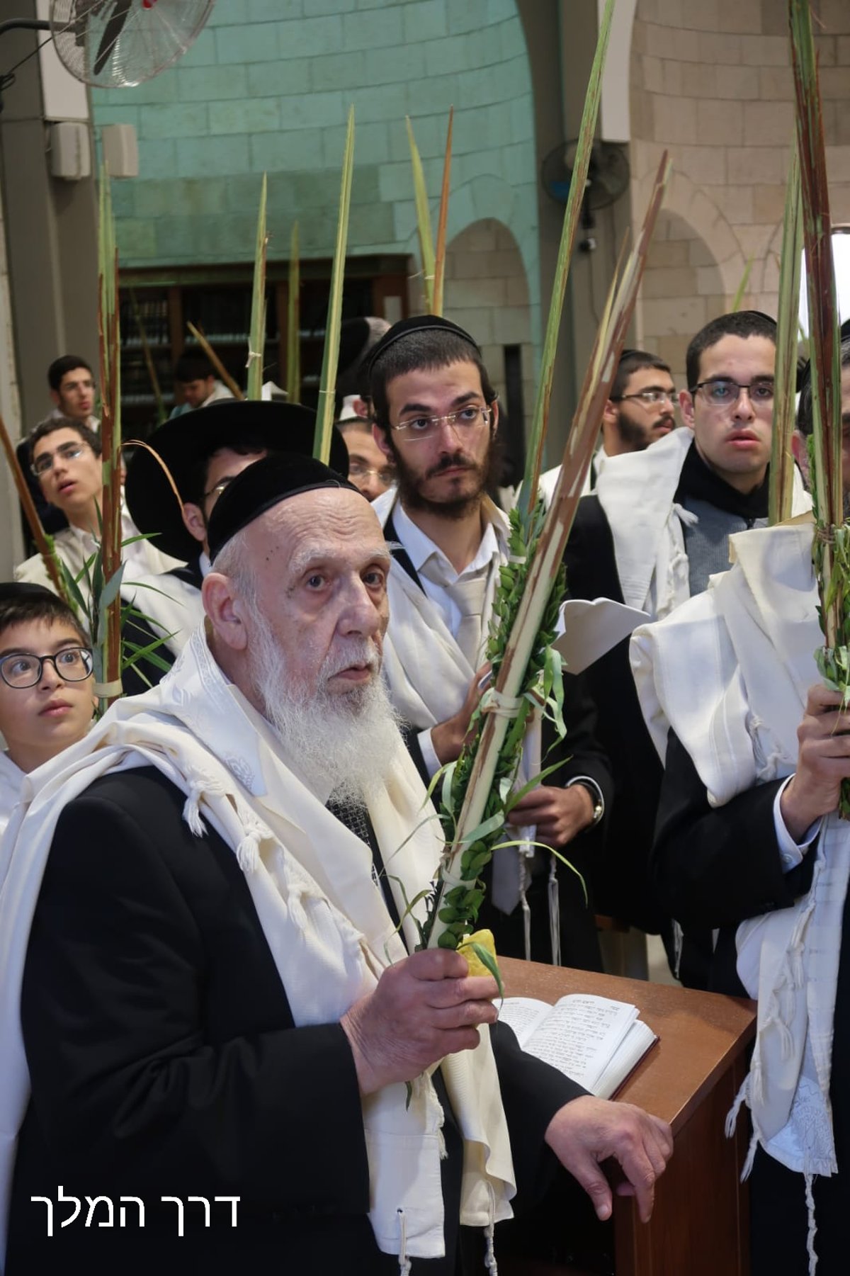 נשיא המועצת בהקפות ב'הושענא רבה'. צפו