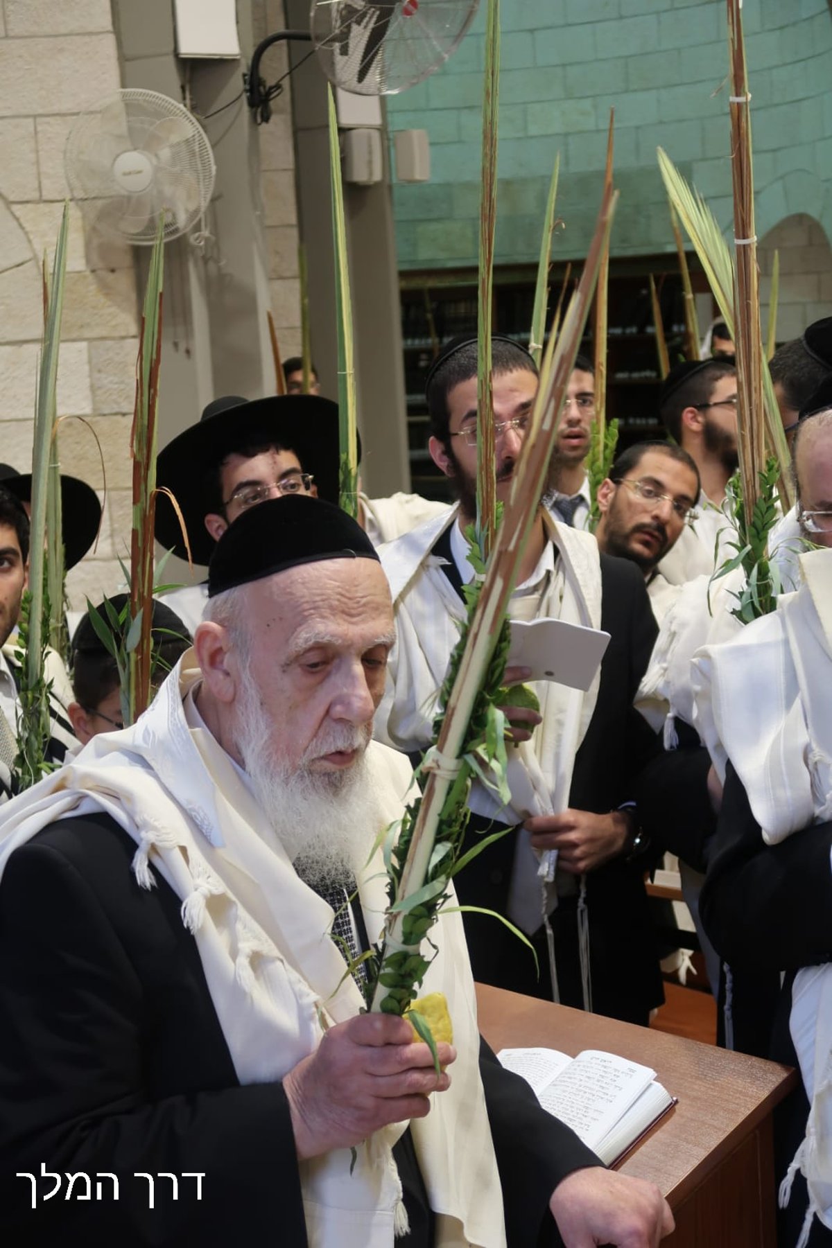 נשיא המועצת בהקפות ב'הושענא רבה'. צפו