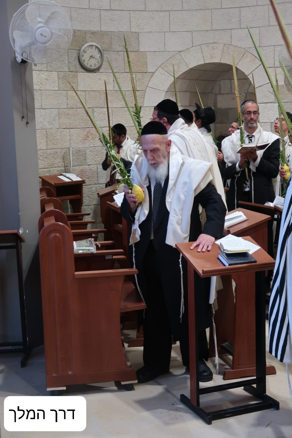 נשיא המועצת בהקפות ב'הושענא רבה'. צפו