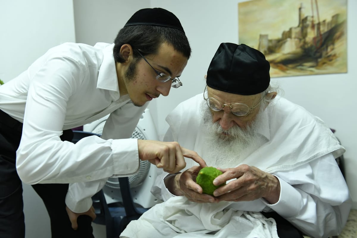 לימוד במיטה: הגאון רבי מאיר גריינמן בהושענא רבא