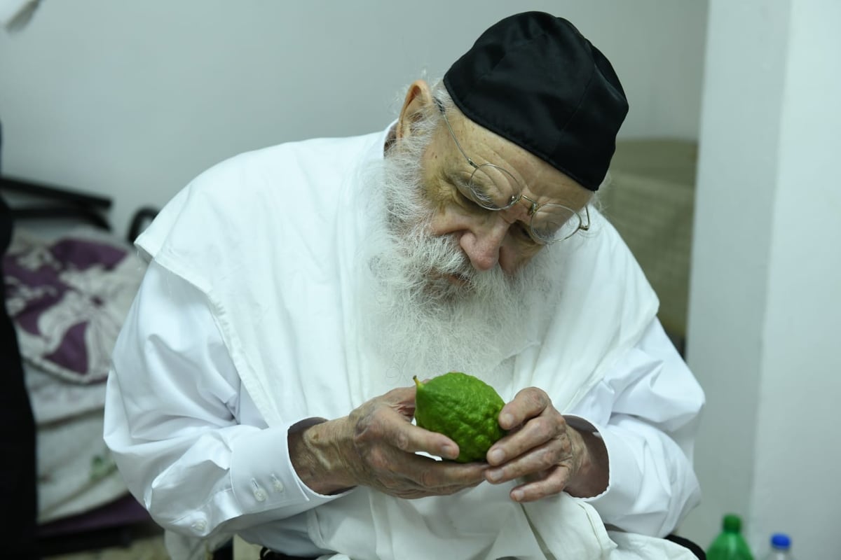 לימוד במיטה: הגאון רבי מאיר גריינמן בהושענא רבא