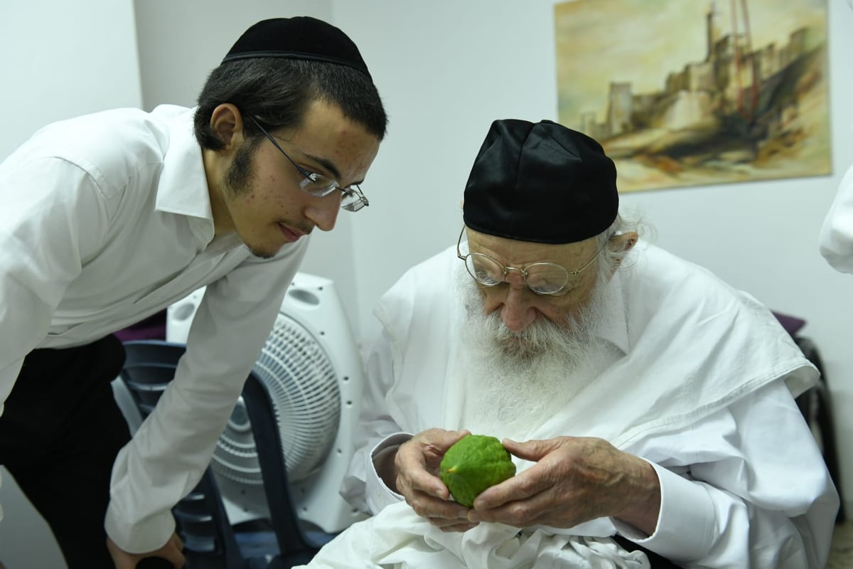 לימוד במיטה: הגאון רבי מאיר גריינמן בהושענא רבא