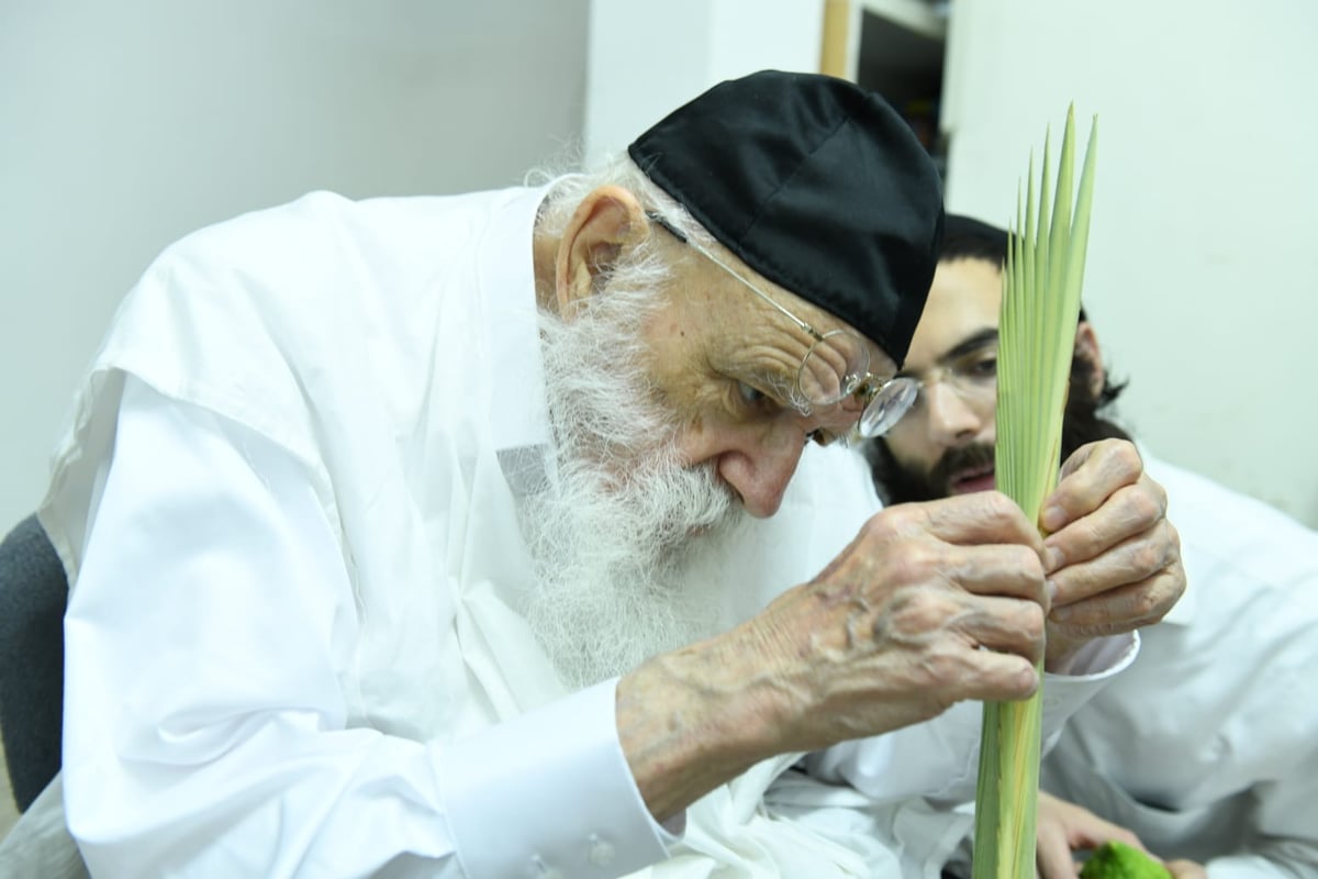 לימוד במיטה: הגאון רבי מאיר גריינמן בהושענא רבא