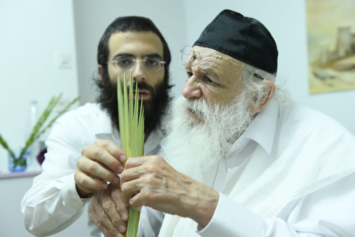 לימוד במיטה: הגאון רבי מאיר גריינמן בהושענא רבא