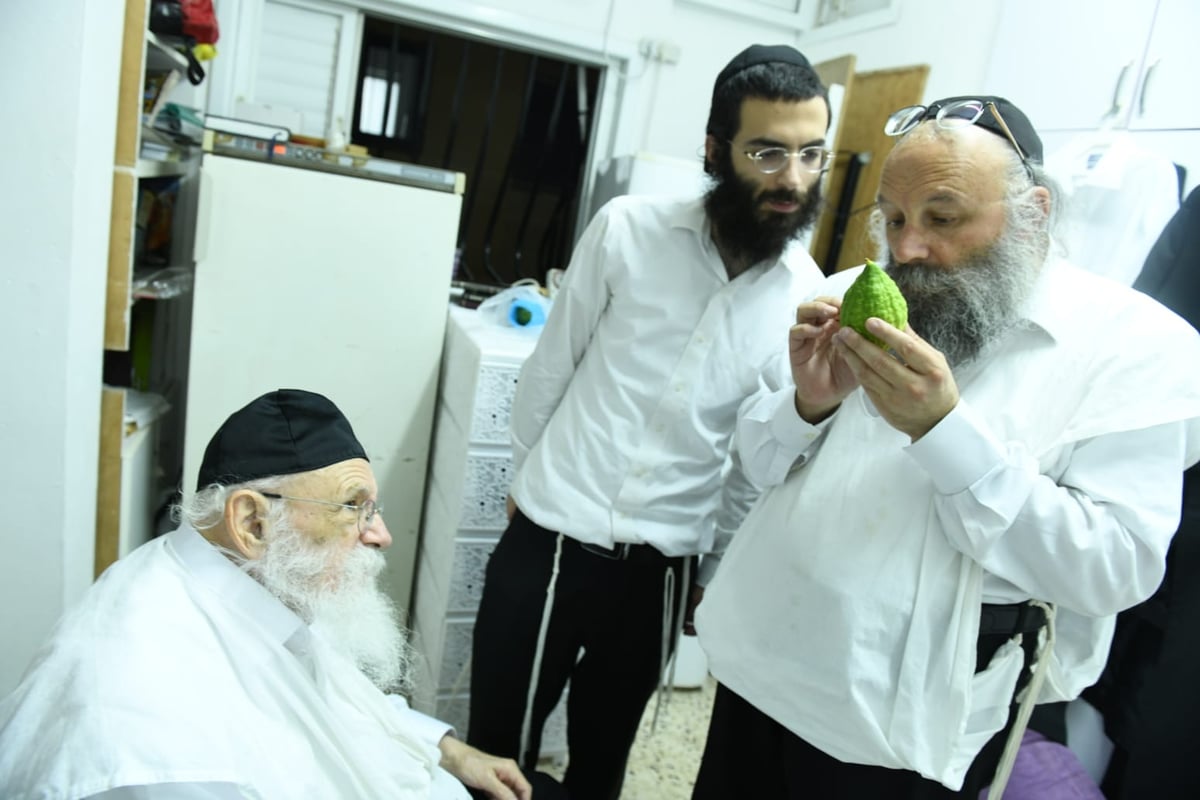 לימוד במיטה: הגאון רבי מאיר גריינמן בהושענא רבא