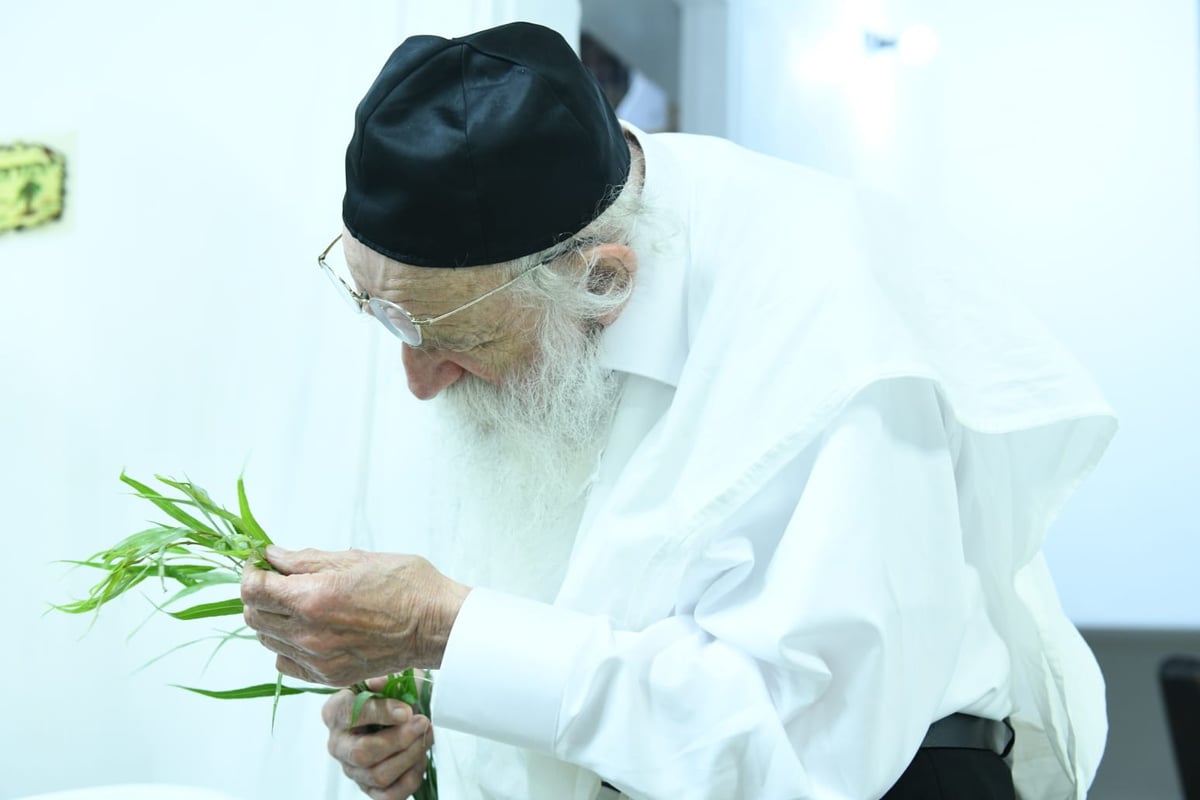 לימוד במיטה: הגאון רבי מאיר גריינמן בהושענא רבא