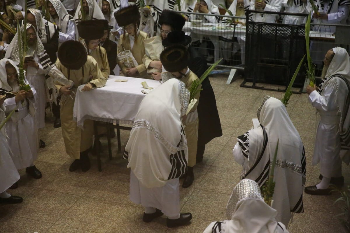 'הושענא רבה' בחסידות תולדות אהרן • צפו