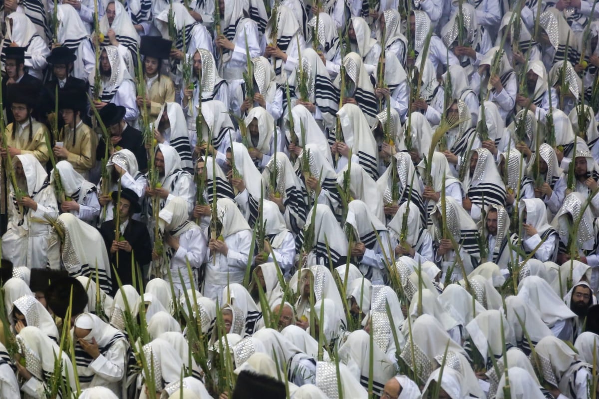 'הושענא רבה' בחסידות תולדות אהרן • צפו