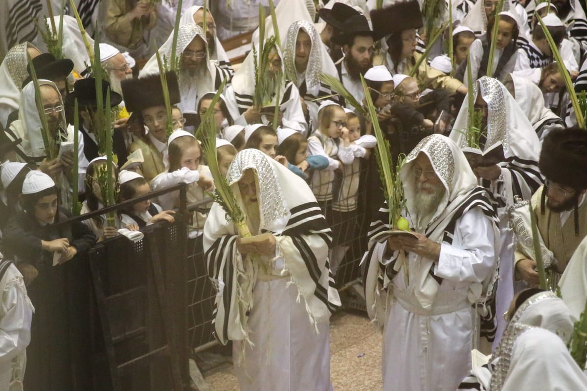 'הושענא רבה' בחסידות תולדות אהרן • צפו