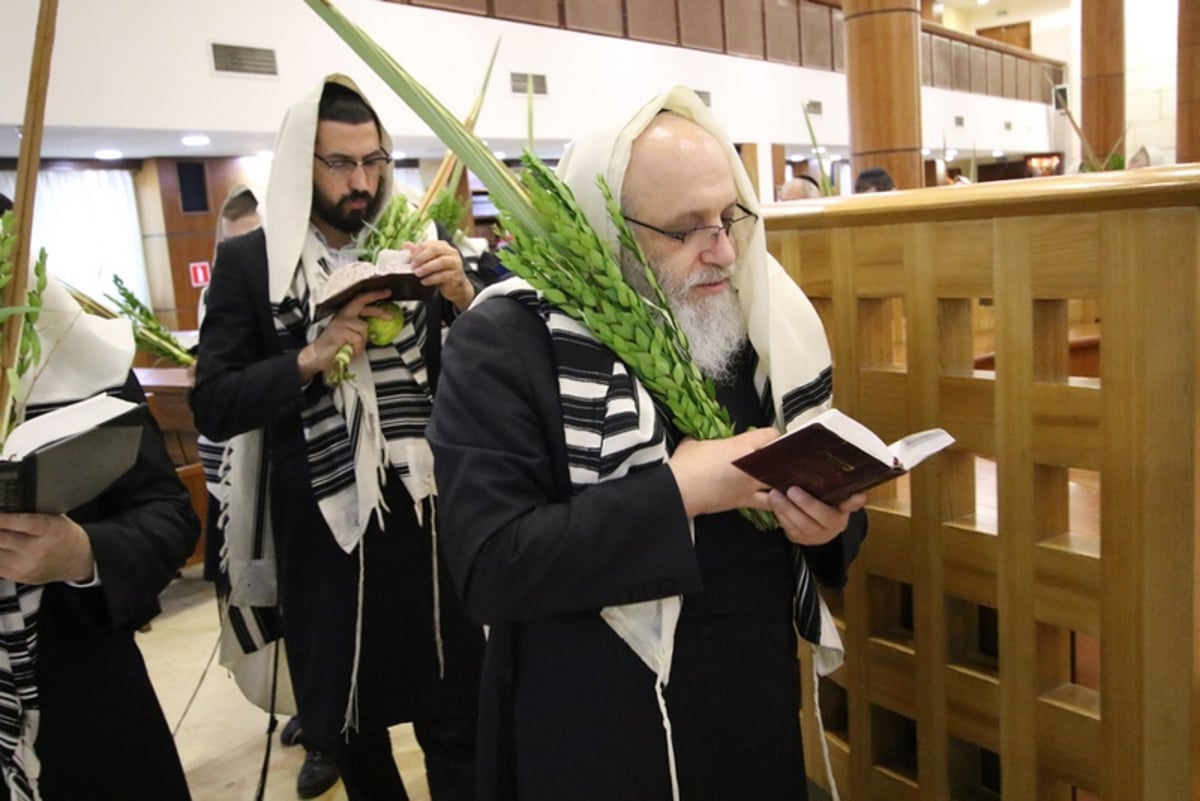 תיעוד מיוחד: 'הושענא רבה' במוסקבה