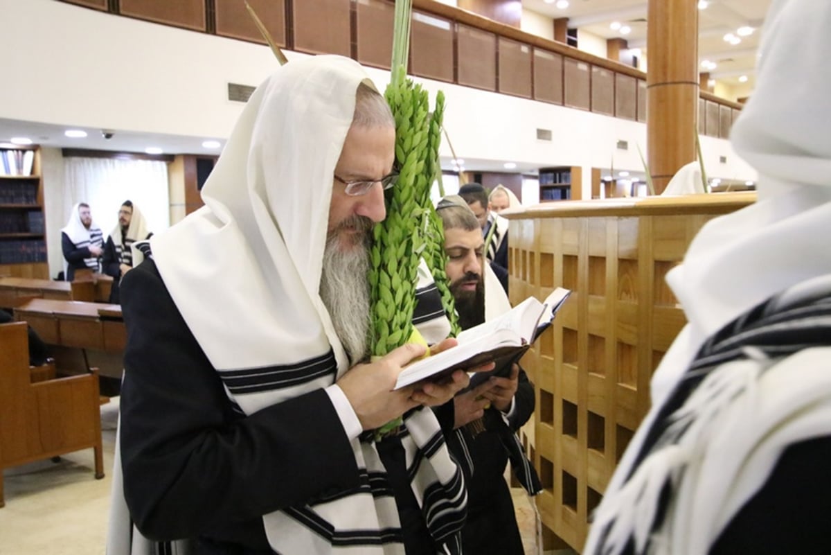 תיעוד מיוחד: 'הושענא רבה' במוסקבה