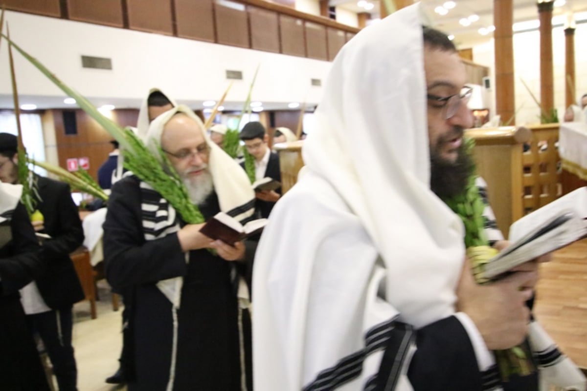 תיעוד מיוחד: 'הושענא רבה' במוסקבה