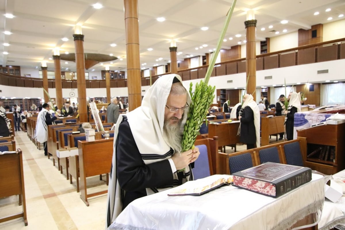 תיעוד מיוחד: 'הושענא רבה' במוסקבה