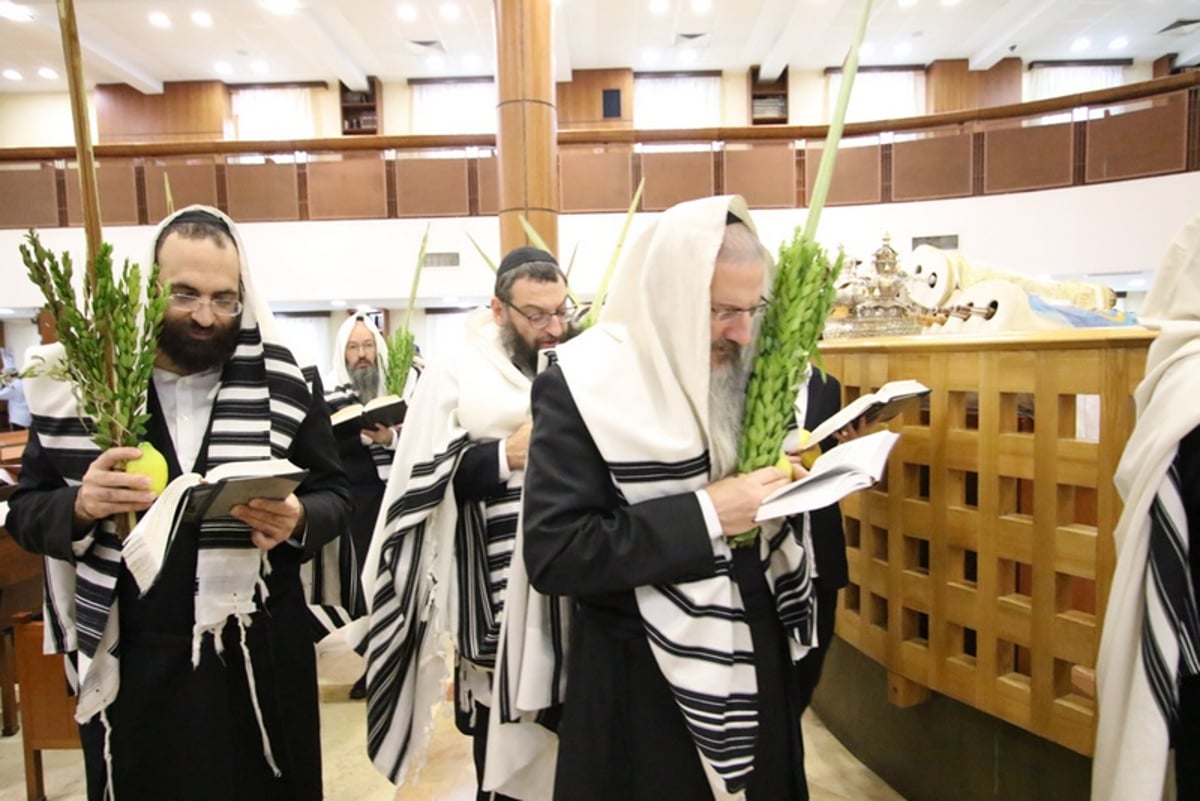 תיעוד מיוחד: 'הושענא רבה' במוסקבה