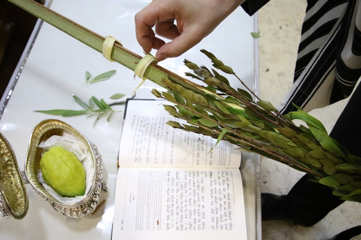 תיעוד מיוחד: 'הושענא רבה' במוסקבה