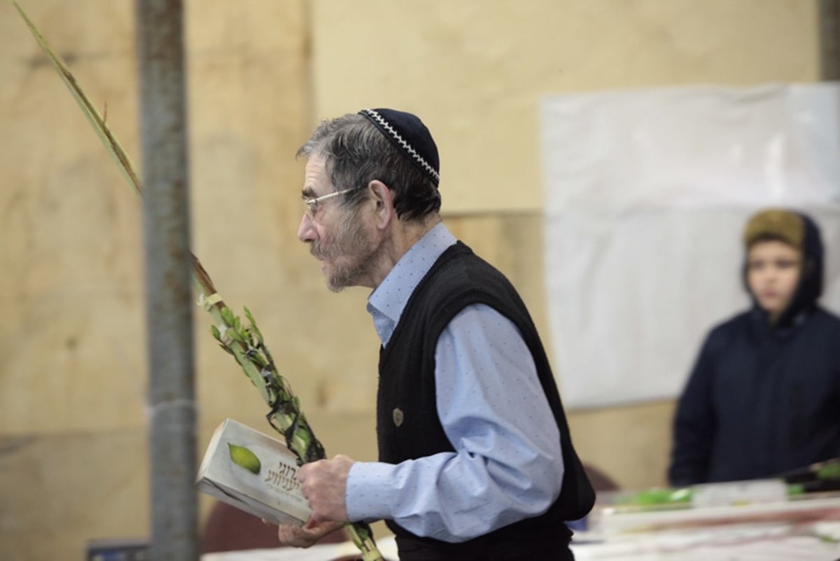 תיעוד מיוחד: 'הושענא רבה' במוסקבה