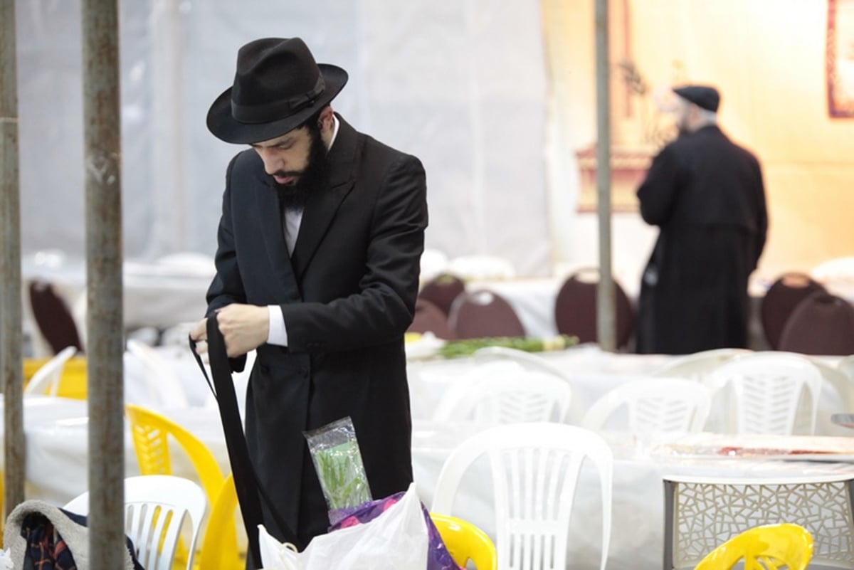 תיעוד מיוחד: 'הושענא רבה' במוסקבה