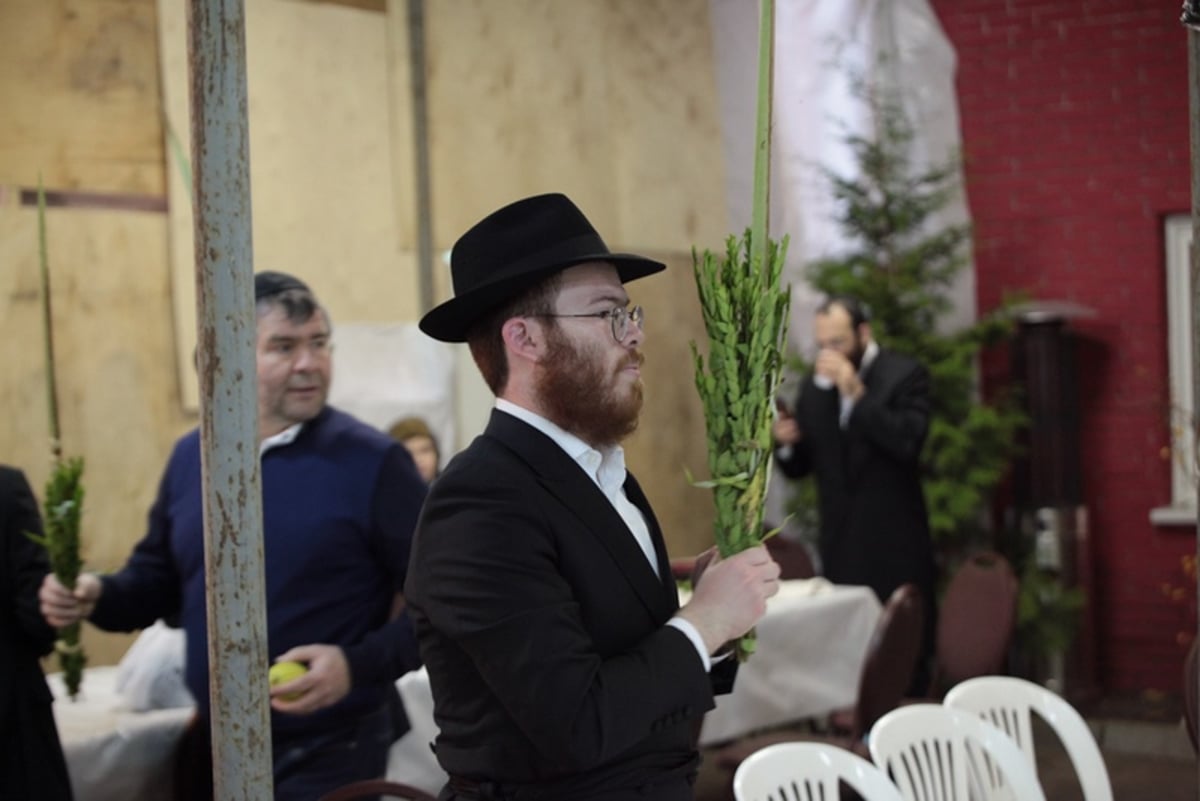 תיעוד מיוחד: 'הושענא רבה' במוסקבה