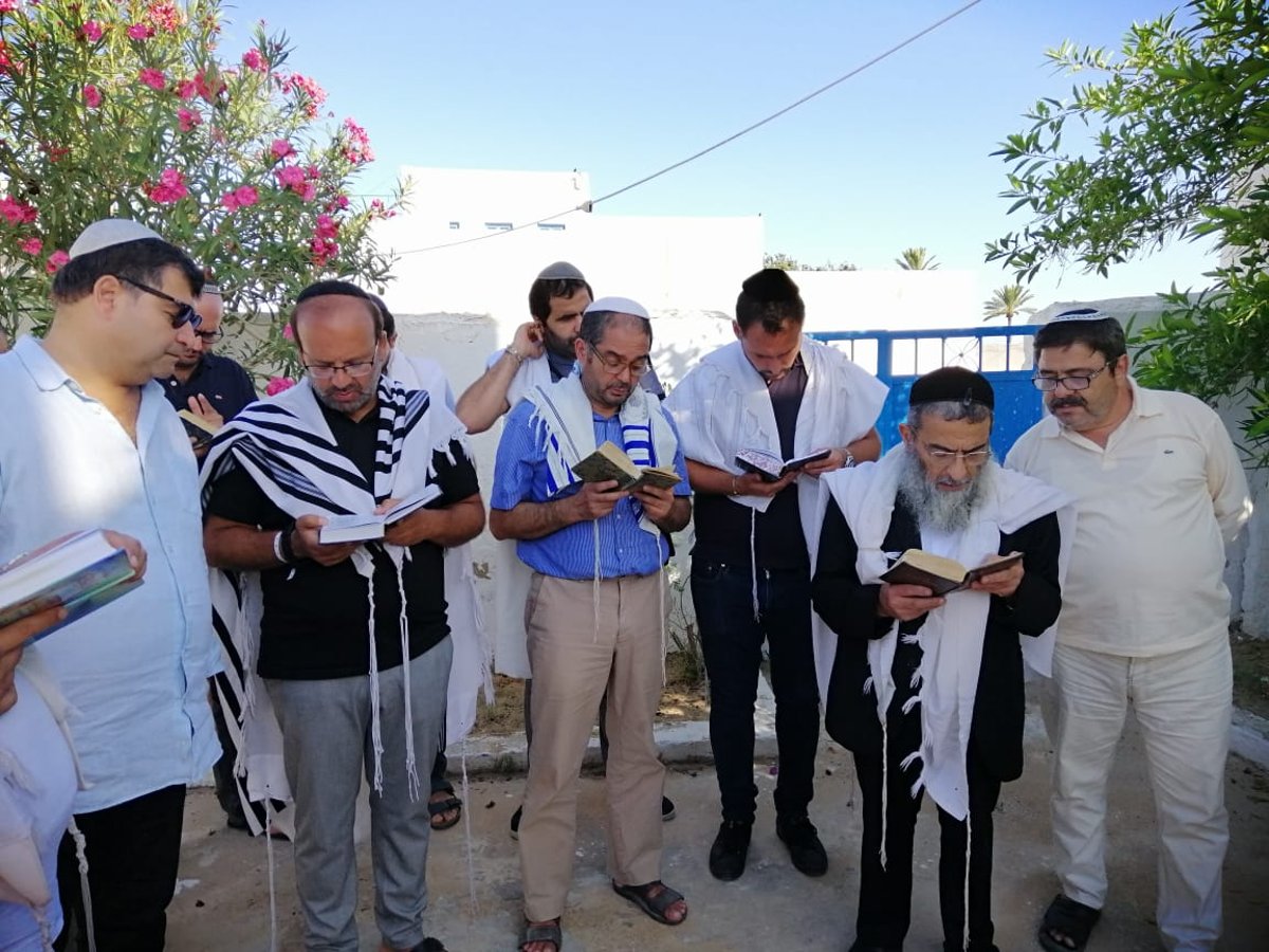 תיעוד בלעדי: 'הושענא רבה' בתוניס • צפו