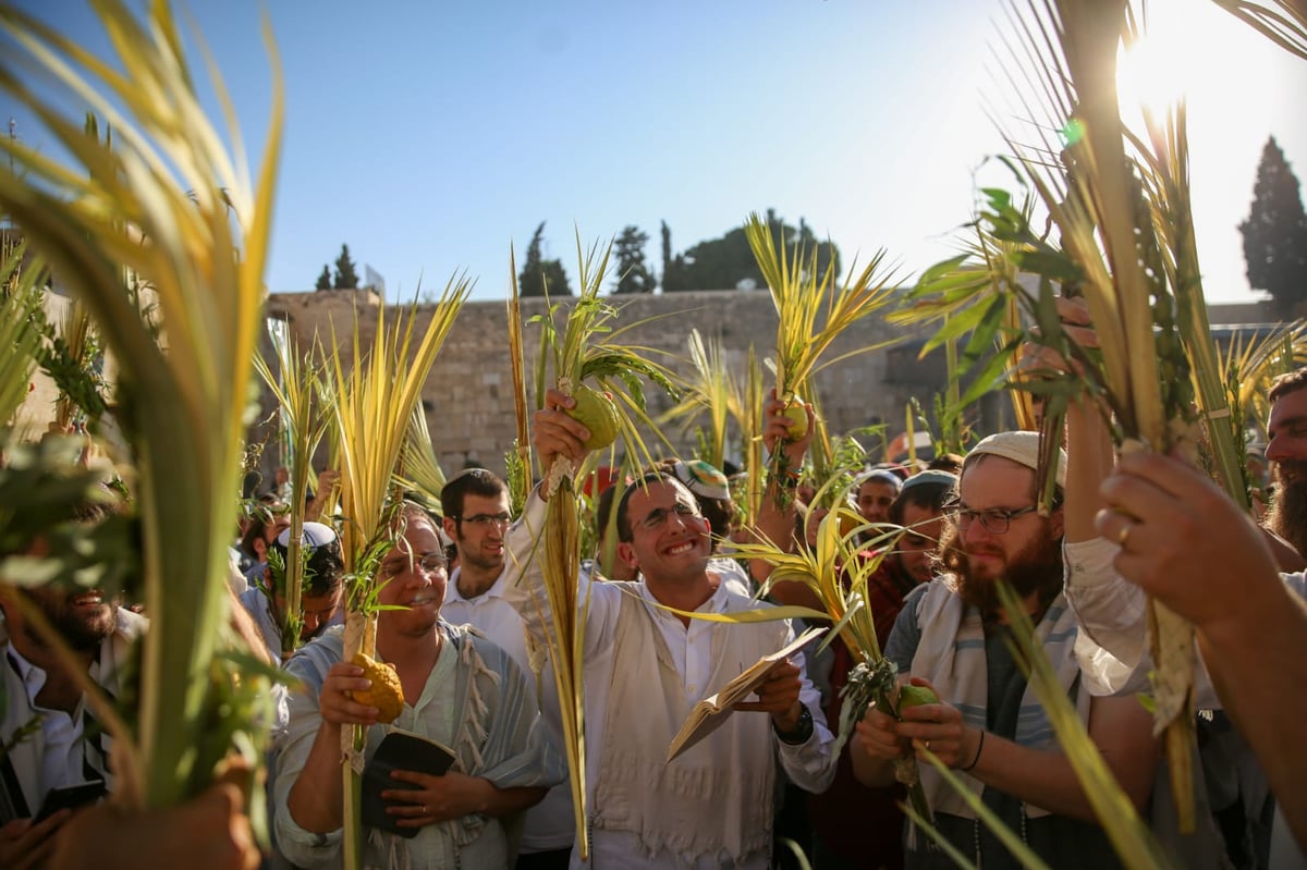 עשר התמונות שמסכמות את 'חג הסוכות' • צפו