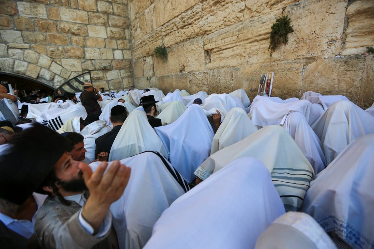 עשר התמונות שמסכמות את 'חג הסוכות' • צפו