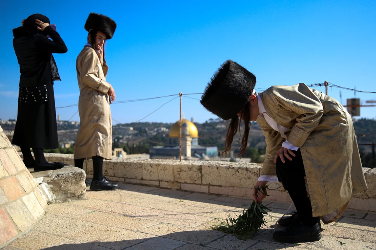 עשר התמונות שמסכמות את 'חג הסוכות' • צפו