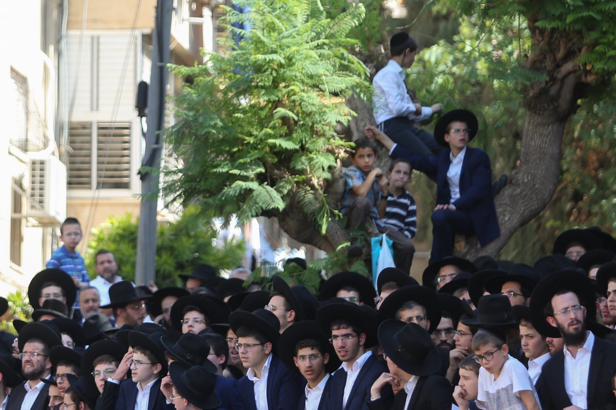 תיעוד מסכם: הלווית פוסק הדור בבני ברק