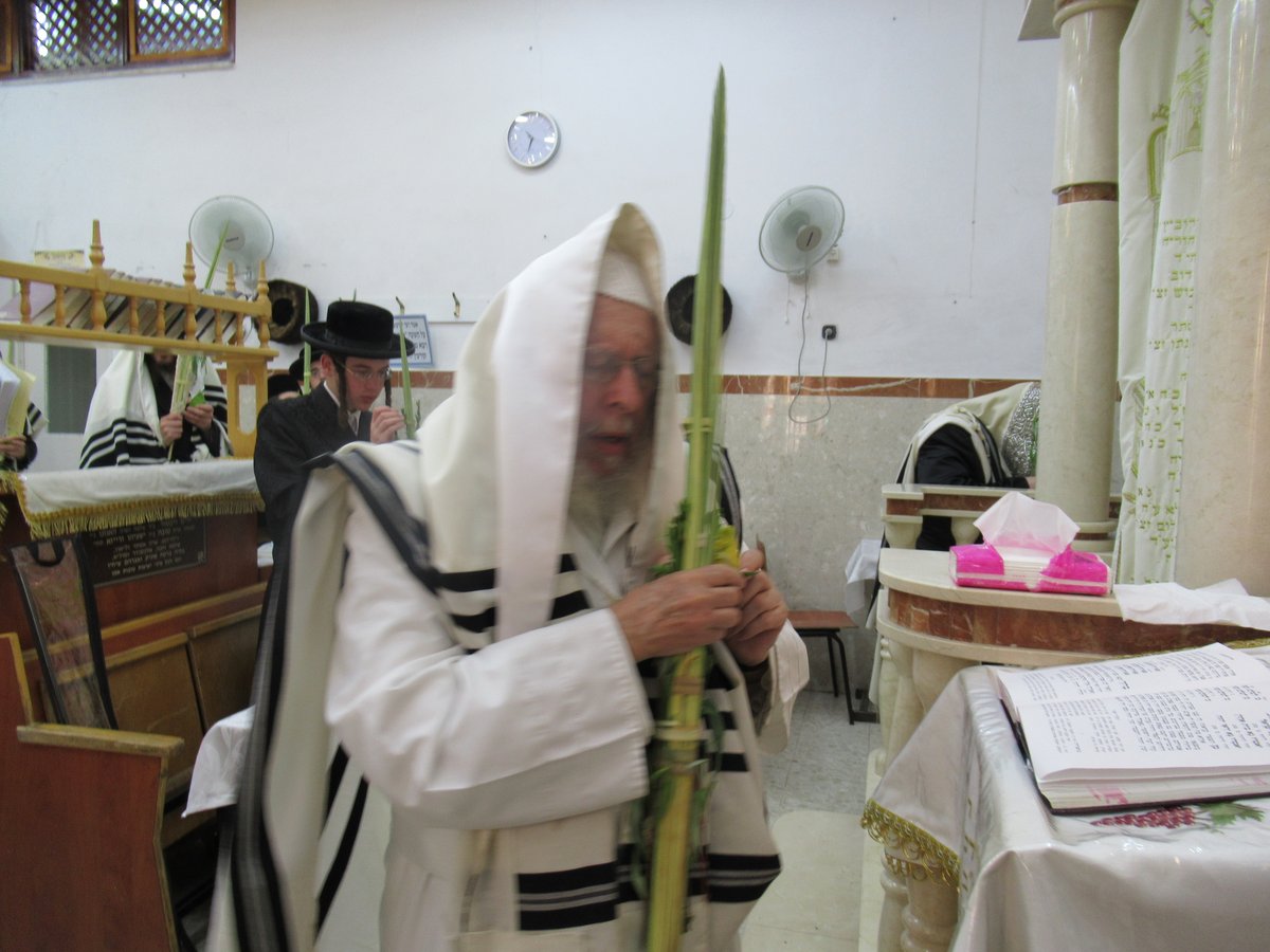 'הושענא רבה' והקפות שניות ב'סטראפקוב'