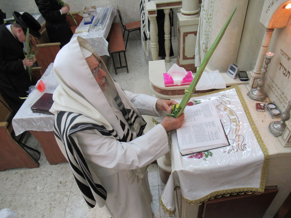 'הושענא רבה' והקפות שניות ב'סטראפקוב'