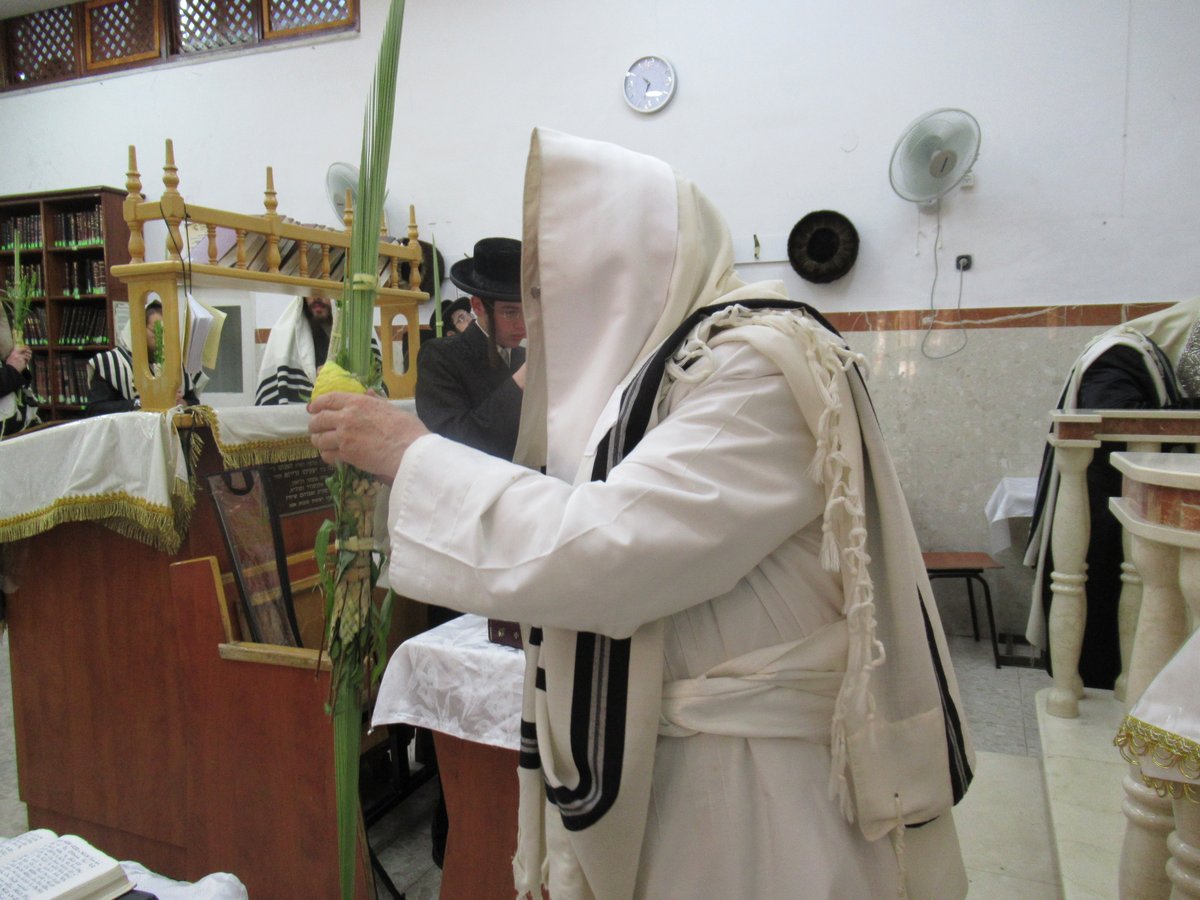 'הושענא רבה' והקפות שניות ב'סטראפקוב'