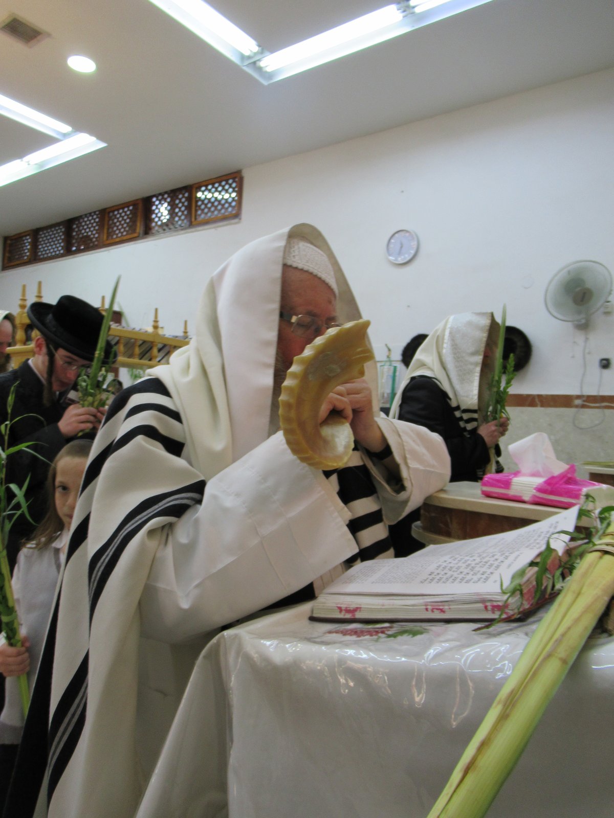 'הושענא רבה' והקפות שניות ב'סטראפקוב'