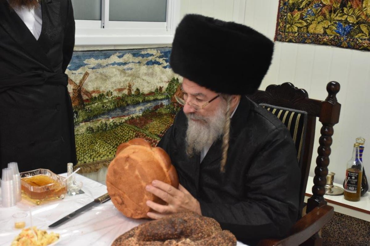 'הושענא רבה' והקפות שניות בחצר אשלג